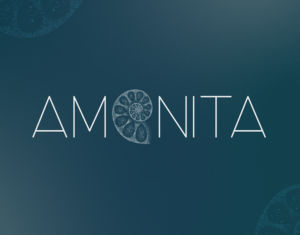 logo_amonita