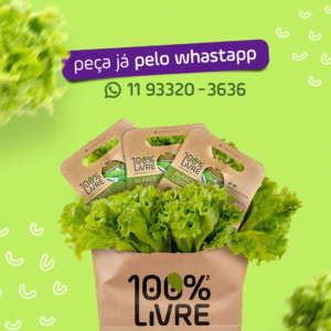 peça pelo whastapp