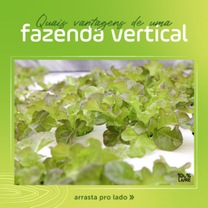 vantagens da fazenda vertival_1