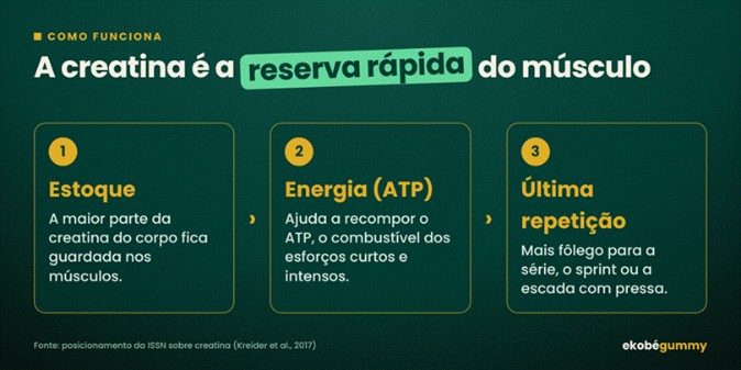Infográfico: a creatina é a reserva rápida do músculo, em 3 etapas